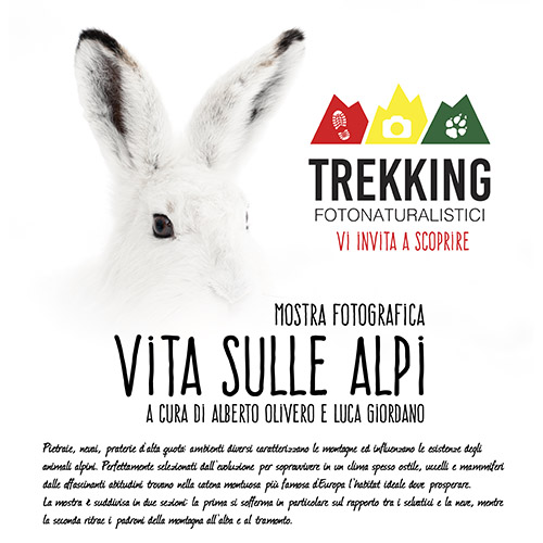 Vita sulle Alpi