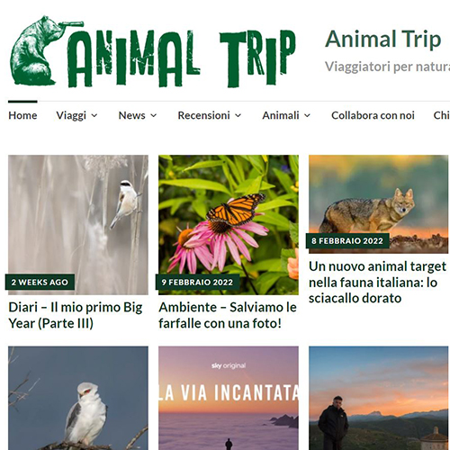 24 Febbraio 2022 - Nuovo articolo sul blog Animal Trip!