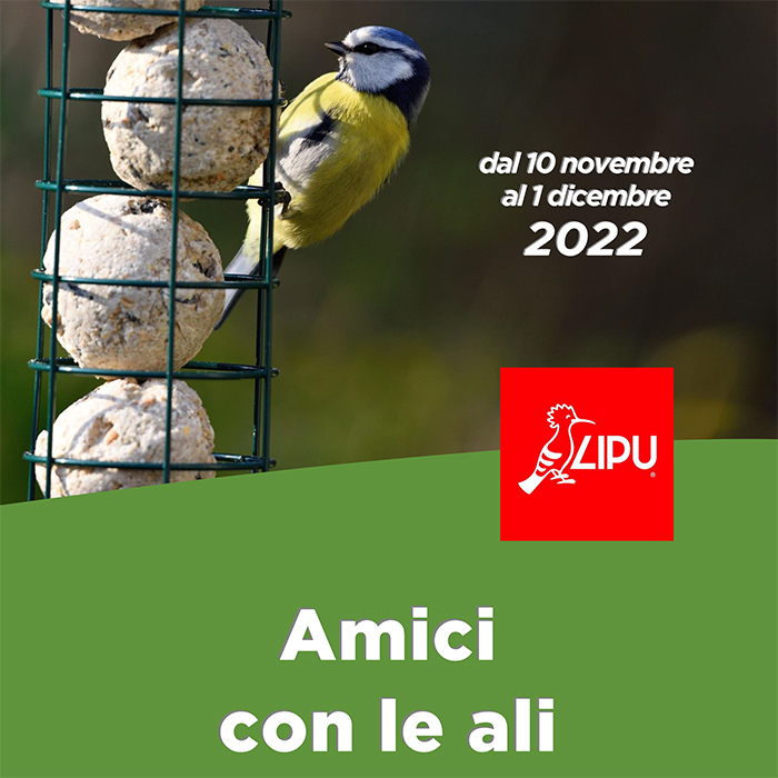 1 Dicembre 2022 - Corso di Birdgardening presso la sede LIPU di Torino
