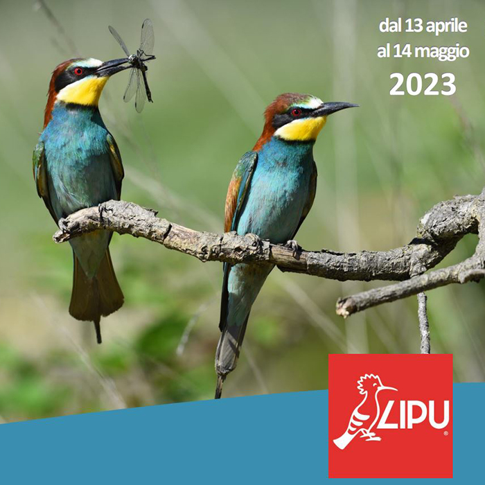 13 Aprile 2023 - Corso di Birdwatching presso la sede LIPU di Torino