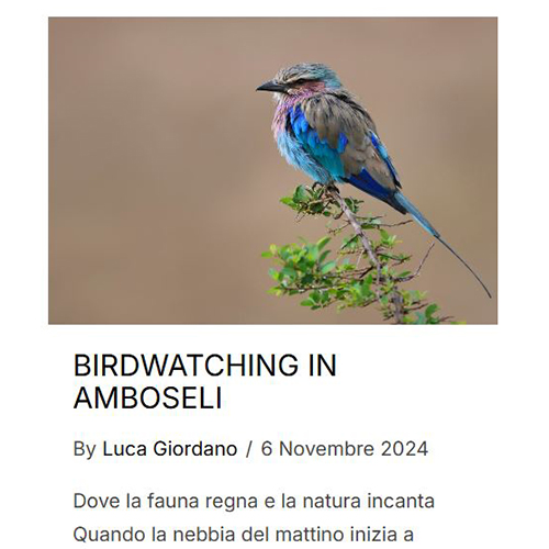 1 Dicembre 2024 - Nuovo articolo sul blog Leica!