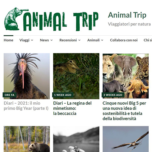 19 Aprile 2021 - Nuovo articolo sul blog Animal Trip!