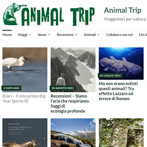 30 Agosto 2021 - Nuovo articolo sul blog Animal Trip!